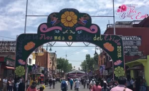 La flor mas bella del ejido