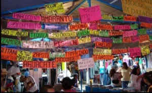 Feria de la nieve en Xochimilco ¿Qué es, cuando es y cómo llegar?