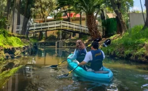 5 cosas que puedes hacer en XOCHIMILCO en Pareja
