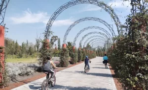 20 cosas que puedes hacer en tu visita a Xochimilco en la CDMX